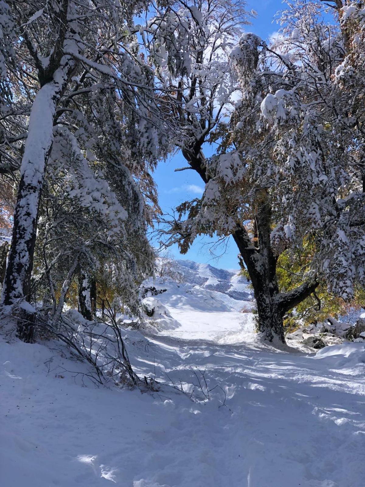 Cabana El Maqui San Martín de los Andes 외부 사진